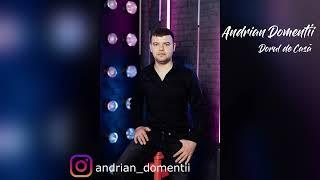  ANDRIAN DOMENTII - DORUL DE CASA   (cover by @IonRazzaOfficial )