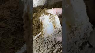 Finding Natural Amethyst Crystal In Mud #amethyst #crystals #find #gemstone