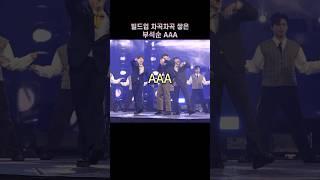 [세븐틴/부석순] 에이에이에이 AAA