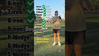 Can I Make a Par With ONLY My 9 iron?? (Day 38)