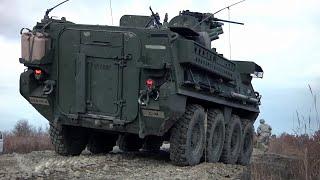 U.S. Military Stryker 8x8 Wheeled Multirole Armored Fighting Vehicle