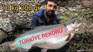 TÜRKİYE REKORU ALABALIK AVI 10 KG 200 GR. / ELAZIĞ #fishing #trout #alabalık