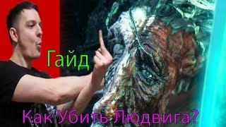 КАК УБИТЬ ЛЮДВИГА? Быстрый Гайд Bloodborne НГ+