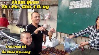 Tham Quan Thủ Phủ Chuột Đồng Nhìn Cực Mê Và Chiêu Đãi Mao Đệ Bữa Sáng Bằng Cháo Địa Long