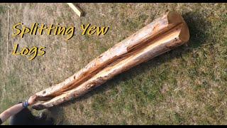 Splitting Yew logs - Eibe spalten