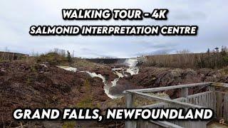 Salmonid Interpretation Centre, Grand Falls in 4K  | Walking Tour!