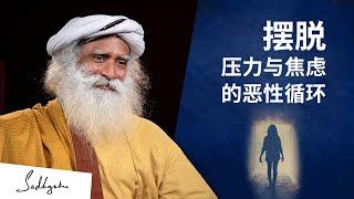 如何摆脱压力与焦虑的恶性循环 | Sadhguru 萨古鲁