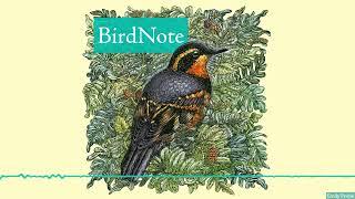 BirdNote's Chirpy Cheerful Theme Song