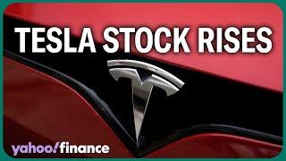 Analyst explains the 2 things driving Tesla stock