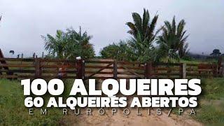 100 ALQUEIRES NO TOTAL COM 60 ALQUEIRES ABERTOS EM RURÓPOLIS NO PARÁ POR R$ 22.000,00 POR ALQUEIRE