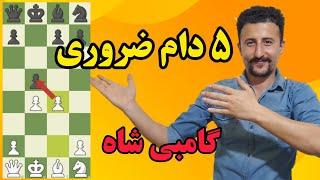 ۵ دام ضروری در شروع بازی گامبی شاه | آموزش شطرنج