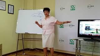 Елев8 Обманутые надежды
