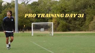 Professional Training Day 31