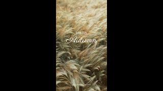 Free Minimalist Hello Autumn Video Template (Customizable) - FlexClip