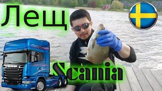 Шведские лещи монстры! Рыбалка у завода Scania Швеция