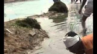 Fresh Water Biodiversity - Vadbudi Lake