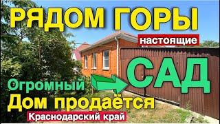 Я долго искал такой дом, чтобы он вам понравился , который расположен в хорошем месте на юге.