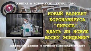 НОВЫЙ ВАРИАНТА КОРОНАВИРУСА "ПИРОЛА". ЖДАТЬ ЛИ НОВУЮ ВОЛНУ ЭПИДЕМИИ? Таро Россия