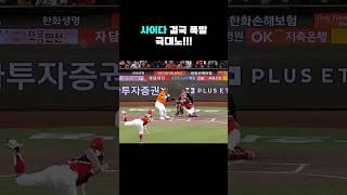 얘들아 이게 야구팬 평균이야 #기아타이거즈 #김선빈 #이범호