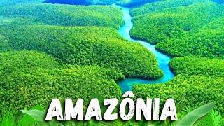 The 10 Great WONDERS of NATURE That Only Exist in the AMAZON - Great Tropical Forests Ep. 1