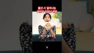 자연분만순산 위해 골반을 다각도로 움직이세요!! #둘라 #골반 #출산 #임신 #임산부 #출산준비