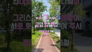 로마서 15장5절 말씀 #귀한말씀 #은혜로운채널 #좋은글 #성경구절 #축복된삶 #멋진글귀 #지혜 #성경구절암송