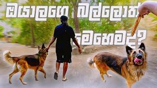 Home Sweet Home Vlog එකක් !!