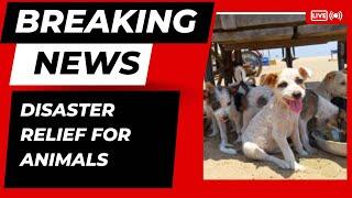 Disaster relief for animals 1