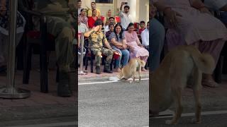 BSF's dog gently offering a bucket of flowers to a ‍️senior officer #bsf #dog #army #love