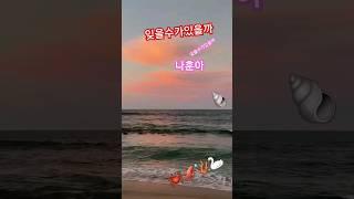 #나훈아 #잊을수있을까