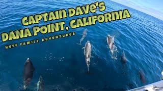 Captain Dave's Signature Dolphin Safari at Dana Point