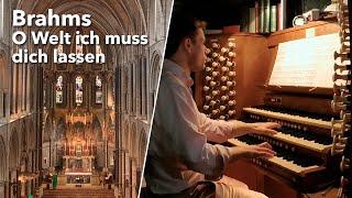 Brahms: O Welt, ich muss dich lassen (Simon Lloyd)