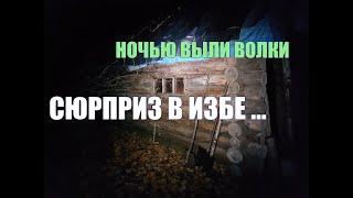 Пришла в ИЗБУ, а там такое... Не ВЫЖИВАНИЕ в лесу. Четырёхдневный ОДИНОЧНЫЙ поход. 1 часть.