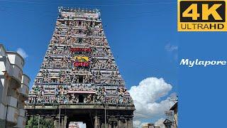 Mylapore Heritage Walking tour 4K | Kabaleeswarar temple - Wonder tours - www.wondertnt.com