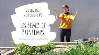 Les semis de Printemps - Ma semaine au potager #1