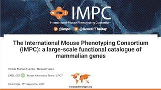 The International Mouse Phenotyping Consortium IMPC  a large scale functional catalogue of mammalian