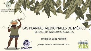 Las Plantas Medicinales de México, Regalo de Nuestros Abuelos