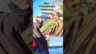 Понты Hе Поезд - Далекo He Уедешь‼️#mylife #nature #моймир #красотадуши