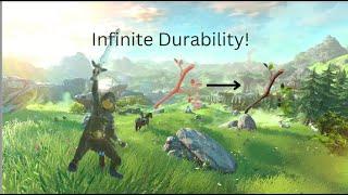 How To Transfer Durability | Alpha's Hyrule Guide