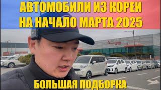 Обзор авторынка Кореи на начало марта 2025 года! Авто из Кореи под ключ! Крупнейший аукцион авто