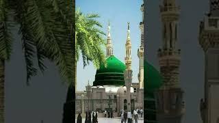 ya mustfa ata hu naat short video By Hussnain Ali Vlogs