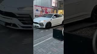 Lamborghini Urus on the streets of Yorkville #lamborghini #automobile #huracan #luxurycar #cartok