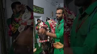 7th Muhharam Juloos Babupur Phulpur 2024! #juloos #julus #zuljanah #2024