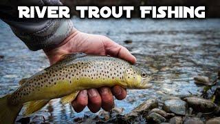 Wild River Brown Trout || CATCH AND COOK