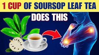 13 Powerful Benefits of Soursop Leaf Tea