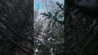 Морозное утро Приуралья