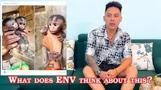 Kaka Monkey Family with questions to ENV organization