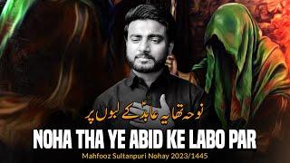 25 Muharram Noha 2023 | Noha Tha Ye | Mahfooz Sultanpuri Noha 2023 | Noha Shahadat Mola Sajjad 2023