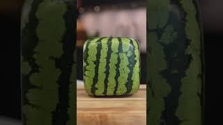 Square Watermelon