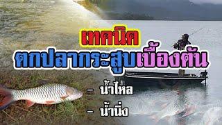 แนวทาง | การตกปลากระสูบ | เบื้องต้น